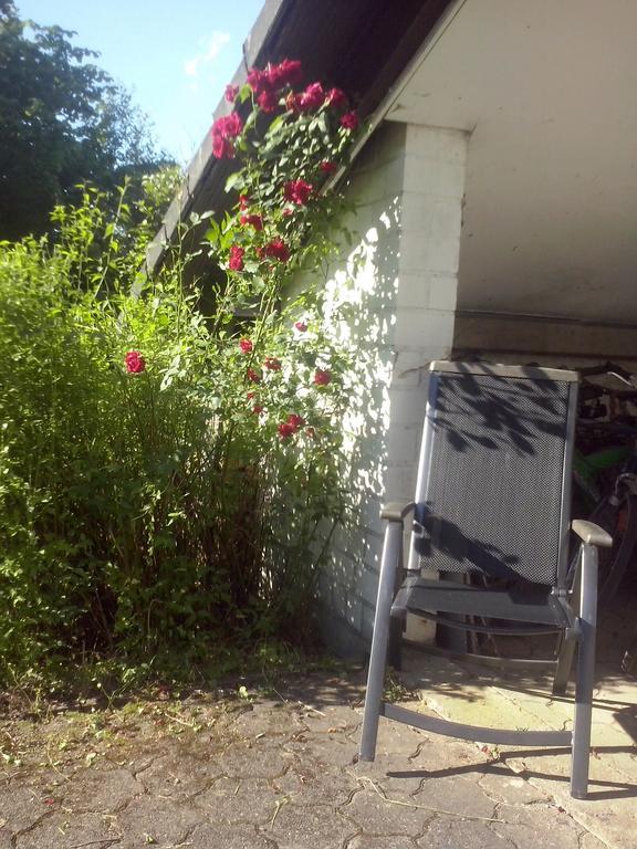 Ferienwohnung Daehne Allagen ภายนอก รูปภาพ